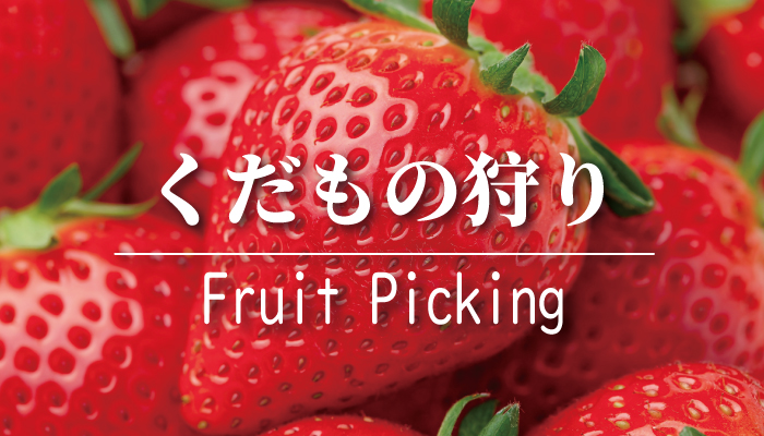信州・小諸くだもの狩り(いちご)