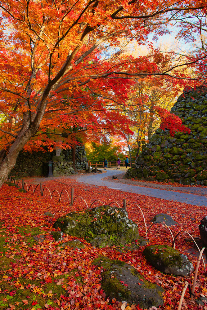 紅葉まつり こもろ観光局