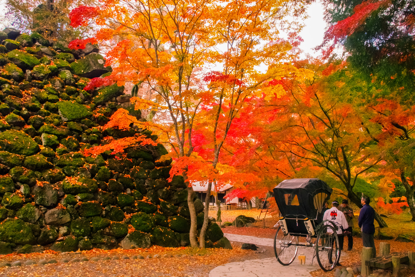 紅葉の懐古園